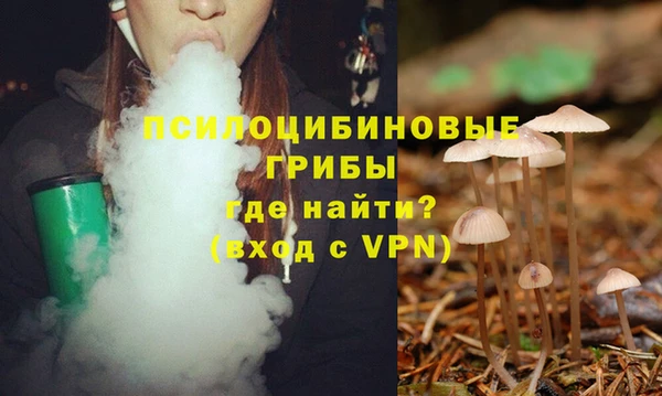 MESCALINE Алзамай