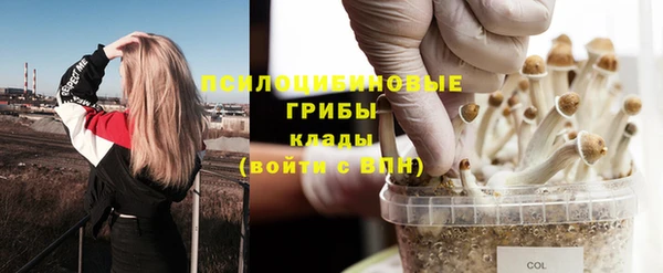 каннабис Абаза