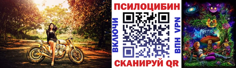Псилоцибиновые грибы прущие грибы  Полтавская 